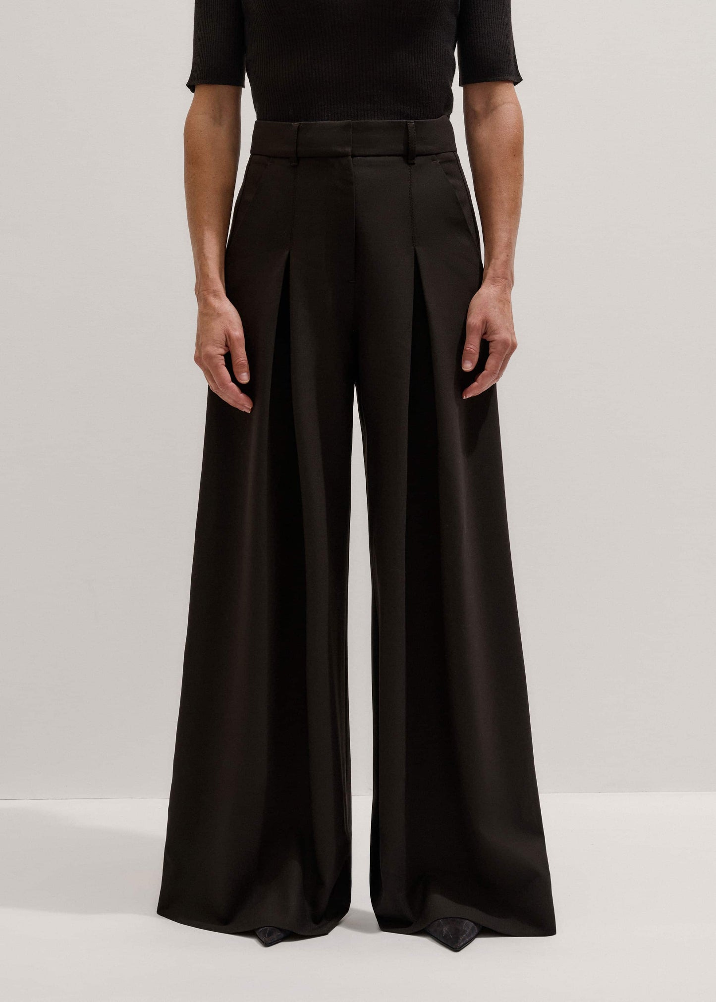 ME and EM Clothing Brown Wool Ultimate Pleat-Front Wide-Leg Pant