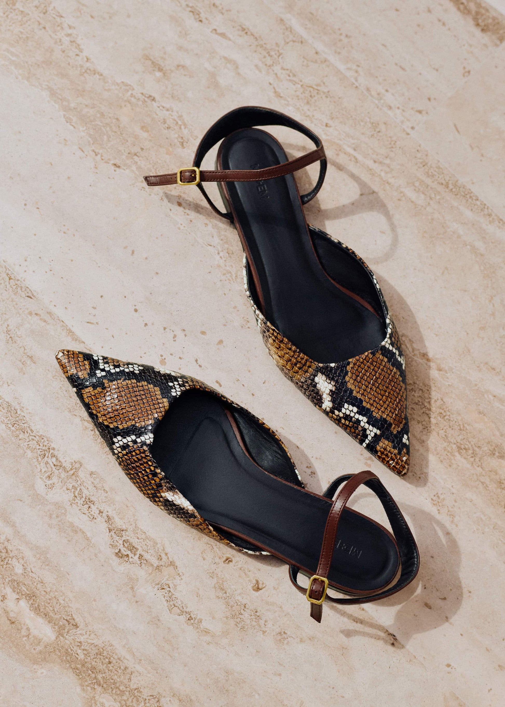 ME and EM Clothing|Accessories Brown Point Toe Flat
