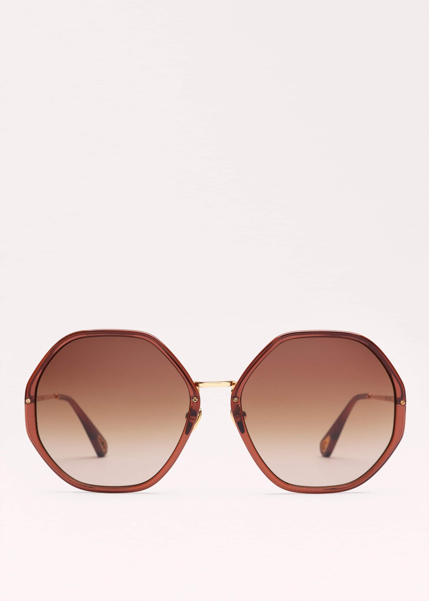 ME and EM Clothing|Accessories Cinnamon Hetagonal Frame Sunglasses