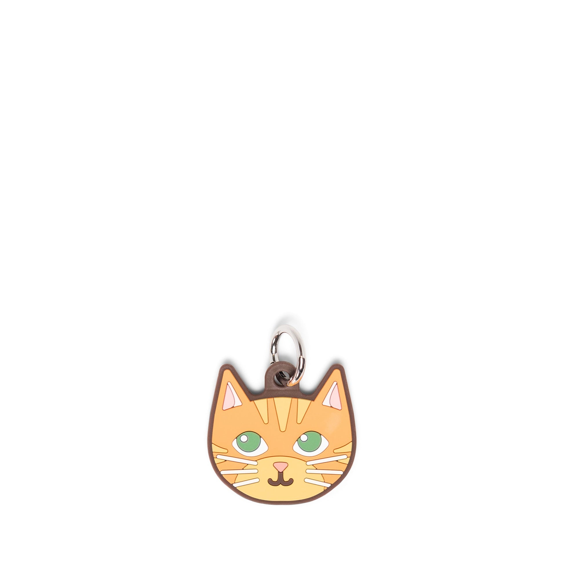 Orange Cat