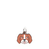 Brown Dog